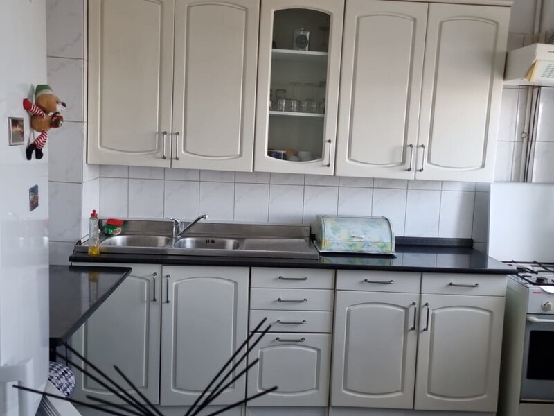 Tineretului, Serban Voda,